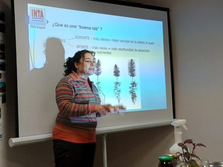 Restauración ecológica | Articulan plan de capacitación técnica para optimizar la producción en 11 viveros forestales de Neuquén