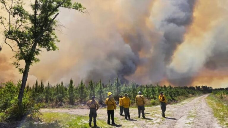La era del clima extremo | La temporada de incendios forestales en EE.UU comenzó de forma histórica y podría empeorar