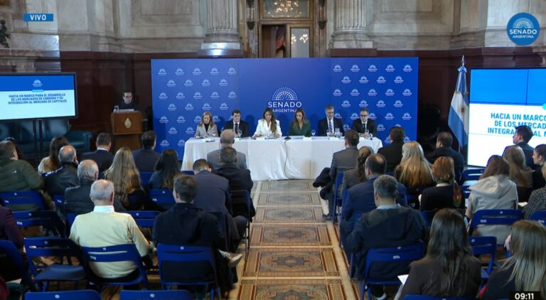 Mercado de carbono | Misiones define su nueva matriz económica en el Senado: «Nuestro principal producto es el oxígeno»