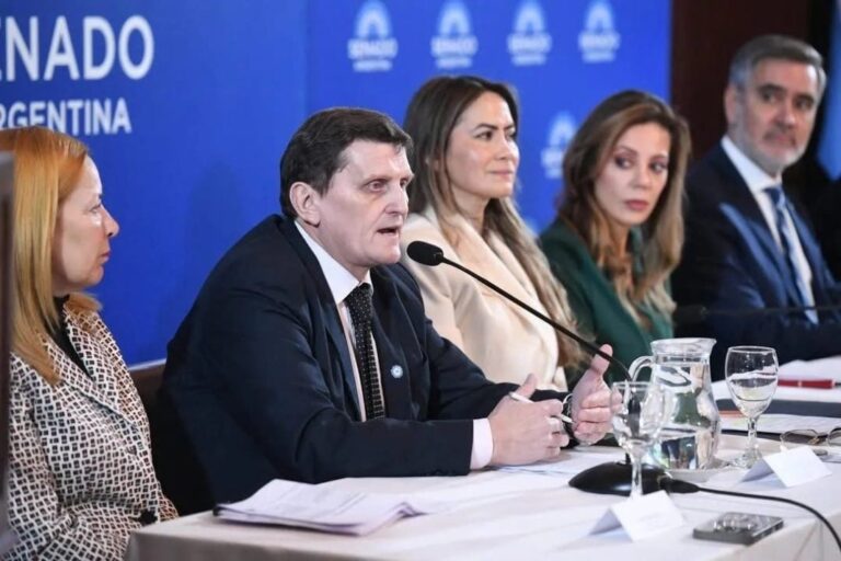 Mercado de carbono | Misiones define su nueva matriz económica en el Senado: «Nuestro principal producto es el oxígeno»