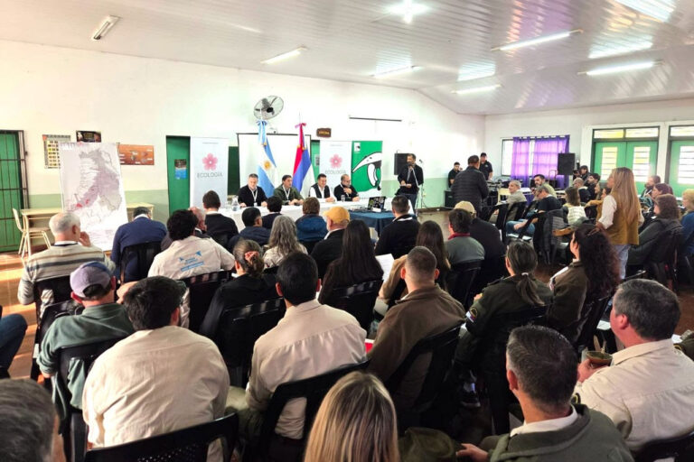 Misiones | Presentaron el primer borrador del Plan de Restauración Forestal para el Corredor Verde