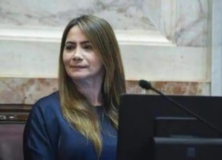 Dictarán conferencias en el Senado Nacional para avanzar en la creación de la Mesa Interjurisdiccional de Mercados de Carbono y exponen el modelo REDD+ de Misiones