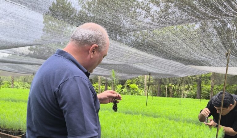 El vivero forestal de Papel Misionero transita hacia la producción clonal y consolida su patrimonio con certificación PEFC