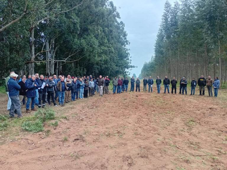 Corrientes | Consorcios forestales y autoridades se reunieron en San Roque para fortalecer el desarrollo técnico y productivo de la foresto-industria de la región