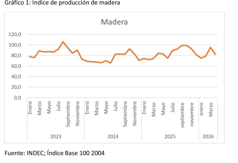 La producción de madera cayó 13,6% intermensual en mayo y el endeudamiento asfixia a los aserraderos más pequeños
