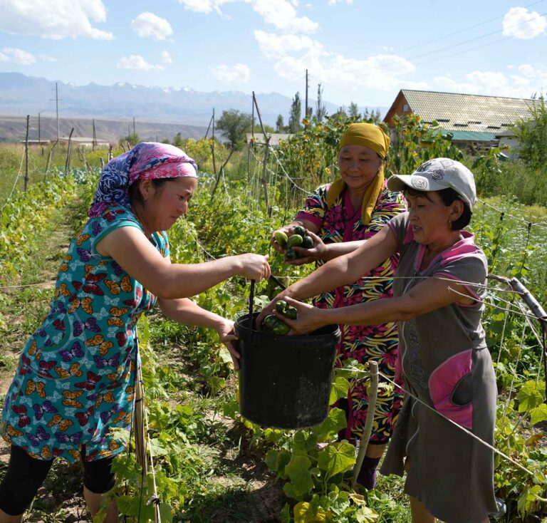 Agenda virtual | Mujeres líderes se unen por la transformación de los sistemas alimentarios en foro global que se celebrará en Brasil