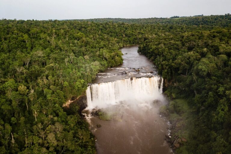 Paraguay | La UNESCO incorporó la Reserva de Biosfera Sur del Alto Paraná a su red mundial, consolidando un corredor estratégico para la conservación de la biodiversidad