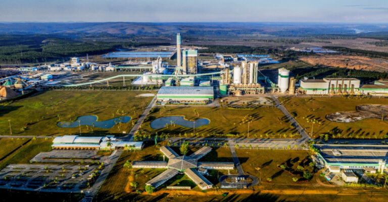 Brasil | Veracel Celulose abre seis vacantes de empleo en las áreas de silvicultura, mantenimiento y suministro