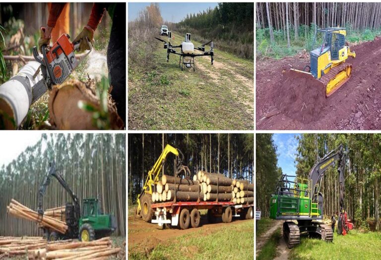 El «gigante dormido» en Expo Rural 2026: el sector foresto-industrial presentó sus ventajas para captar inversiones y dólares para la era Milei