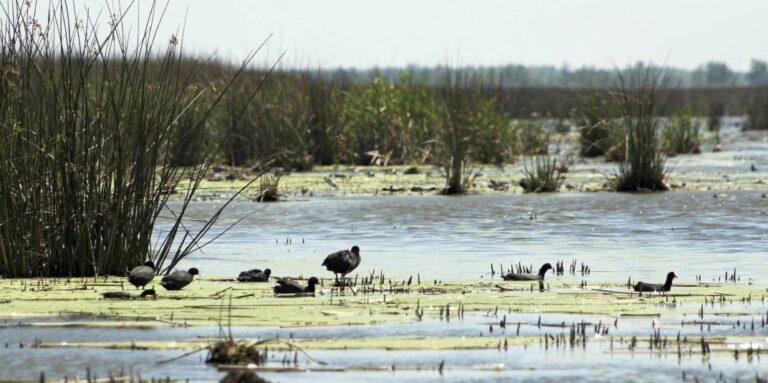 Investigadores elaboran el mapeo más exhaustivo realizado hasta ahora de los ecosistemas argentinos