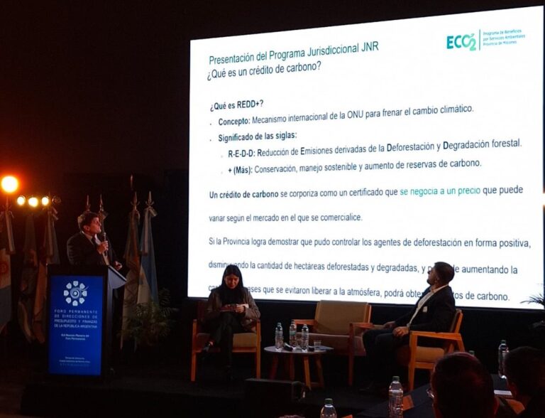 Misiones presentó su proyecto de créditos de carbono ante el Foro Nacional de Presupuesto y Finanzas y busca avanzar hacia mercados regulados