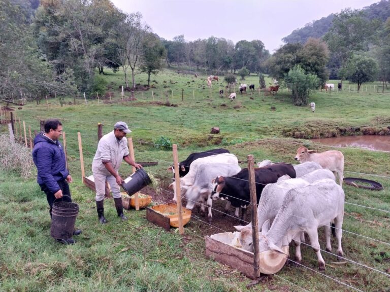 Misiones | Pequeños productores de Arroyo del Medio fortalecen la ganadería como una oportunidad de desarrollo rural