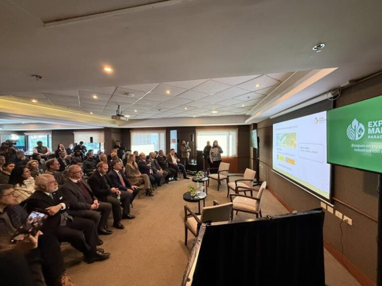 Expo Madera Paraguay 2026 reunirá a inversores de Suecia, Japón, Brasil, Uruguay y Chile: el sector forestal se posiciona como uno de los motores del desarrollo del país