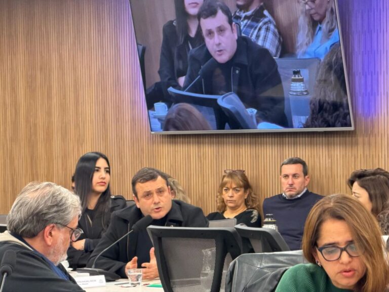 Ley de Tierras | Herrera Ahuad defendió a las chacras misioneras: “No voy a estar del lado de quien les saque la tierra”