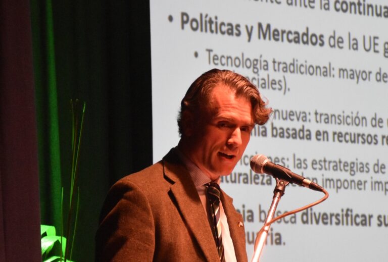 Alemania busca madera estructural en la Argentina frente al déficit de coníferas en Europa y ofrece financiamiento para la reconversión tecnológica