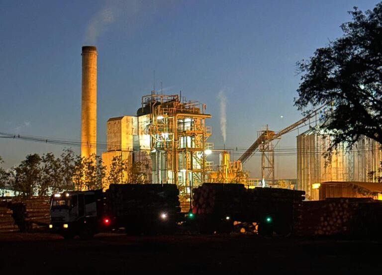 Transición energética | Pindó Eco-Energía cumple una década de generación renovable y perfila el modelo de desarrollo para la bioeconomía PyME