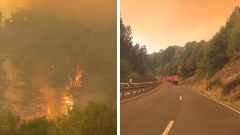 Incendios en Europa: Bélgica se enfrenta a un incendio sin precedentes mientras los fuegos forestales no dan tregua en España y Francia