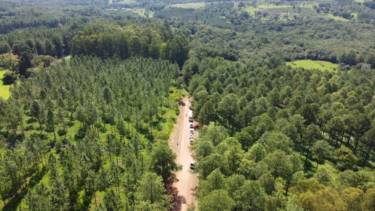 Caminos rurales: recomendaciones del INTA para anticiparse a los excesos de lluvia que puede traer El Niño