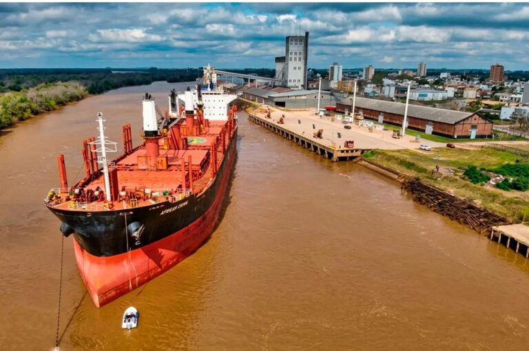 Entre Ríos: un buque cargará 30.000 toneladas de rollos de madera de pino y eucalipto con destino a India desde el Puerto de Concepción del Uruguay 