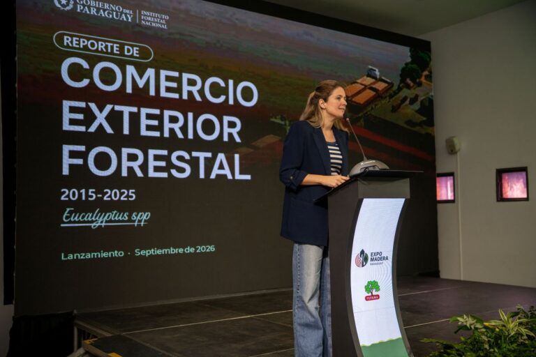 De materia prima a referente global: el sector forestal paraguayo logra un año récord impulsado por el eucalipto, la diversificación de mercados y la agenda de carbono