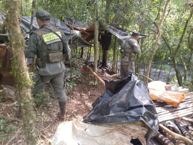 Misiones | En operativos de seguridad y control ambiental, desmantelaron campamentos de cazadores furtivos en el interior de la Reserva de la Biosfera Yabotí