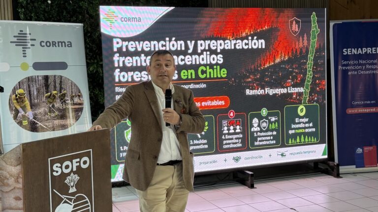 Chile | Empresarios forestales llaman a implementar medidas urgentes ante una compleja temporada de incendios