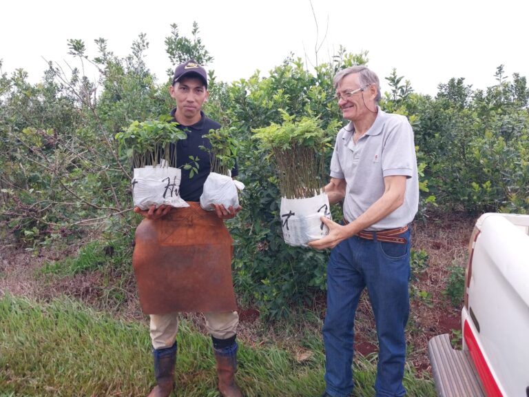 Medir para innovar: 66 productores y 318 hectáreas de chacras misioneras ya fueron medidas en su huella de carbono por el INTA