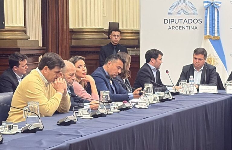 Ley de Cabotaje | Analizan entre empresarios y diputados alternativas que permitan abaratar fletes y potenciar el desarrollo productivo del NEA