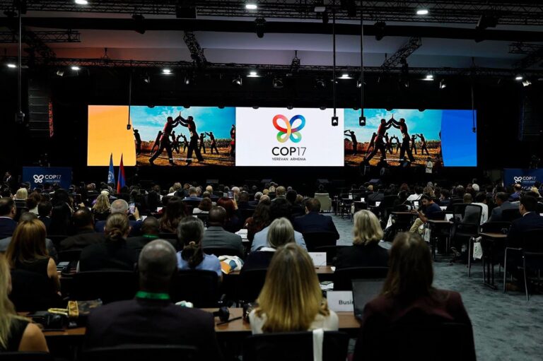 COP 17 de Biodiversidad | Líderes indígenas de América Latina, África y Asia fueron nombrados los primeros embajadores de los bosques primarios