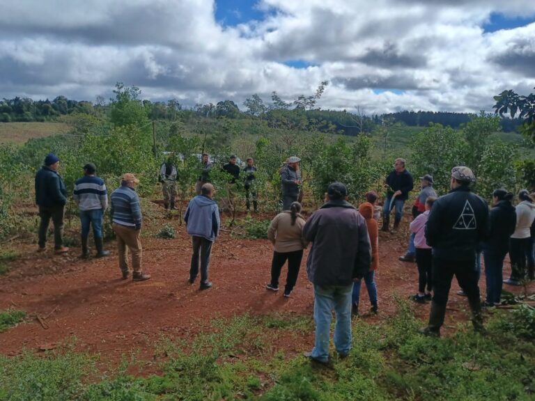 El INTA, la Fundación Vida Silvestre y 120 familias restauran más de 400 hectáreas de Selva Paranaense en San Pedro mediante sistemas agroforestales