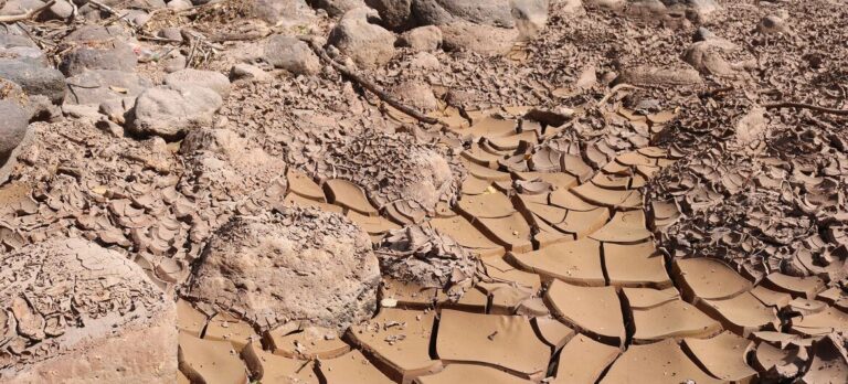 El Niño gana fuerza en América Latina: sequía, hambre y riesgo de inundaciones marcan los próximos meses