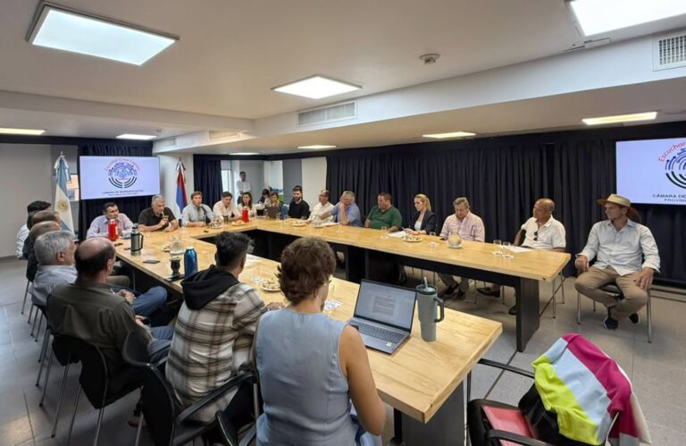 Misiones | Debaten en la legislatura propuesta de modificación de la ley de Ordenamiento Territorial de Bosques Nativos para elevar el umbral de pendientes y liberar áreas productivas