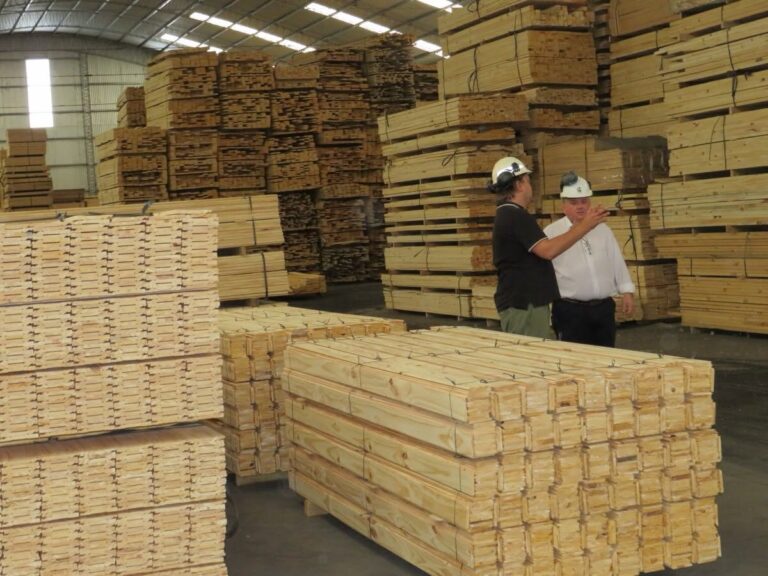 «Madera Correntina», el programa que promueve al material como motor de la arquitectura sustentable