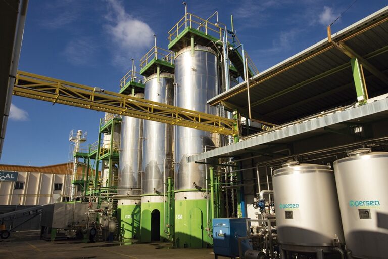 Lanzamiento de la Diplomatura Universitaria en Biorrefinerías de Segunda Generación: Impulsando el futuro sostenible de la industria celulósico-papelera